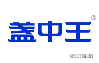盏中王