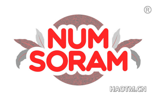NUM SORAM