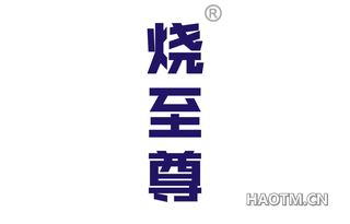烧至尊