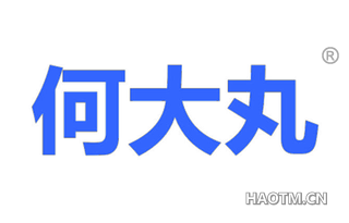 何大丸 