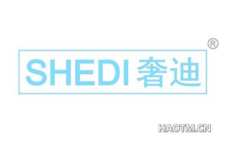奢迪