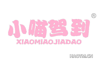 小喵驾到