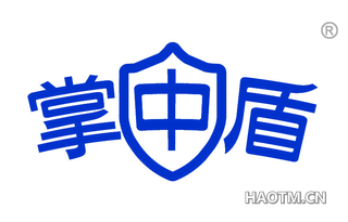 掌中盾