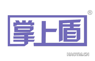 掌上盾