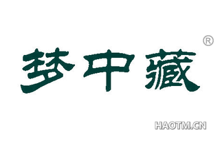 梦中藏 