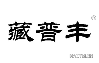 藏普丰 