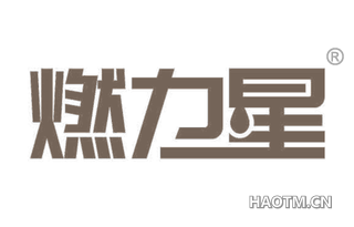 燃力星 