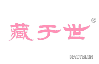 藏于世 