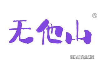 无他山 