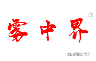 雾中界 