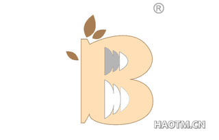 B图形