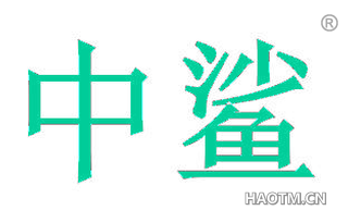 中鲨