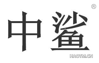 中鲨