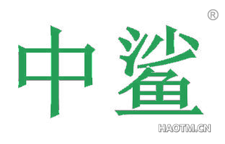 中鲨
