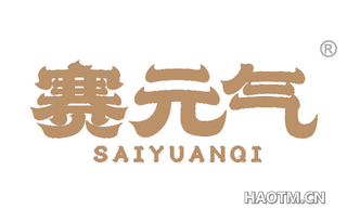 赛元气 SAIYUANQI