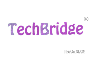 TECHBRIDGE