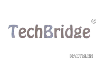 TECHBRIDGE
