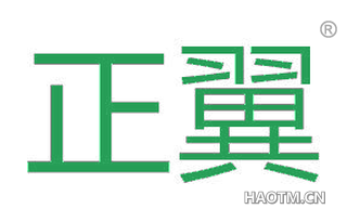 正翼