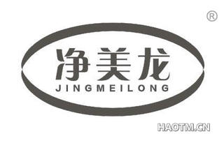 净美龙 