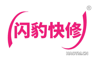 闪豹快修