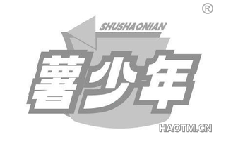 薯少年