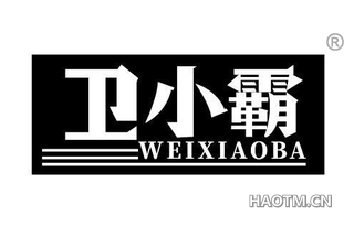 卫小霸