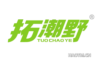 拓潮野