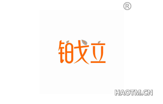 铂戈立