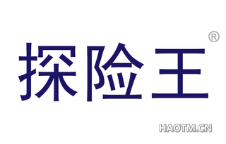 探险王