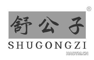 舒公子