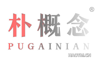 朴概念