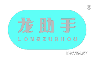 龙助手 LONGZUSHOU