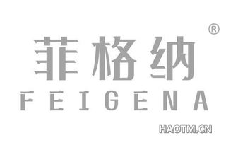 菲格纳