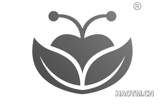 图形