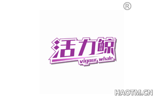 活力鲸 VIGOUR WHALE