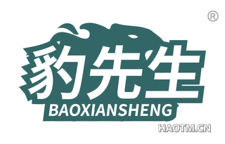 豹先生