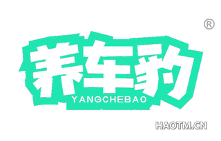 养车豹