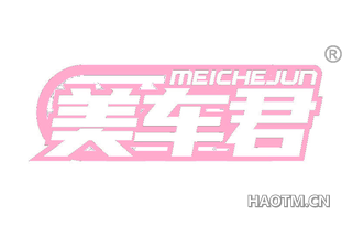美车君