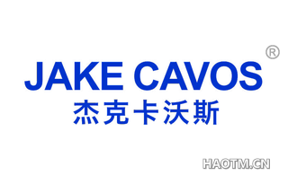 杰克卡沃斯 JAKE CAVOS