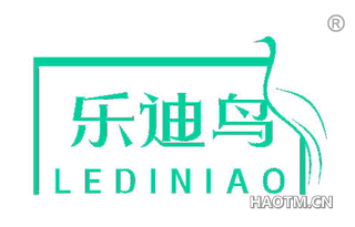 乐迪鸟