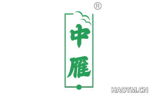 中雁