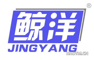 鲸洋
