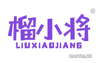 榴小将