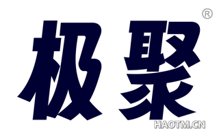 极聚