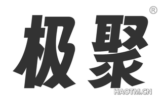 极聚