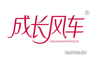 成长风车