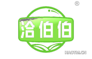 洽伯伯