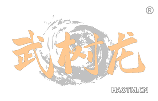 武树龙 