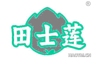 田士莲