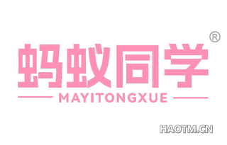 蚂蚁同学